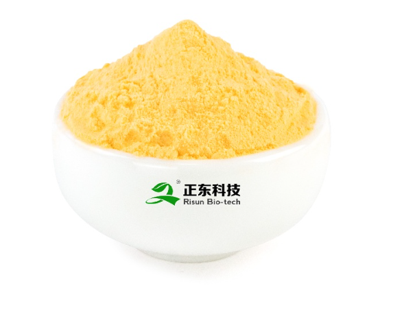 Reduced Coenzyme Q10 vs. Oxidized Coenzyme Q10: Why is Reduced Coenzyme Q10 Key to Next-Generation Heart and Cellular Health?