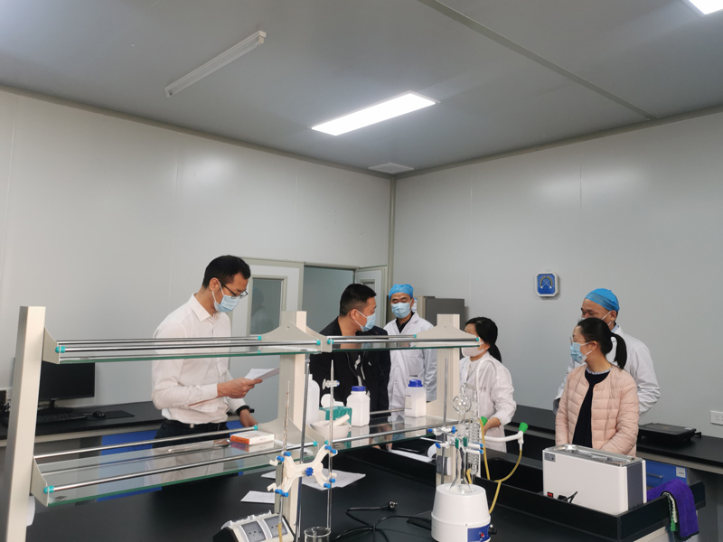 Risun Secures ISO/HACCP Renewal: Global Compliance Shields Market Trust