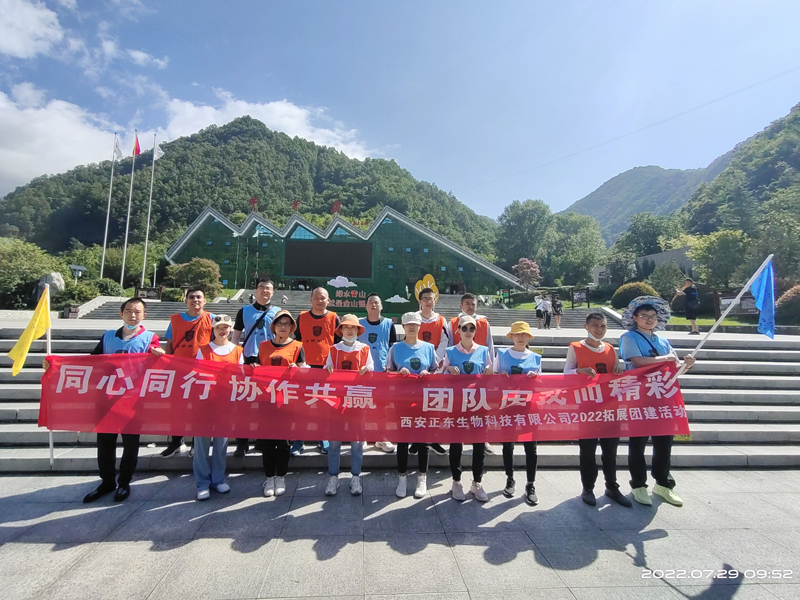 Risun Unites Teams with "Together We Thrive" 2022 Team-Building Event