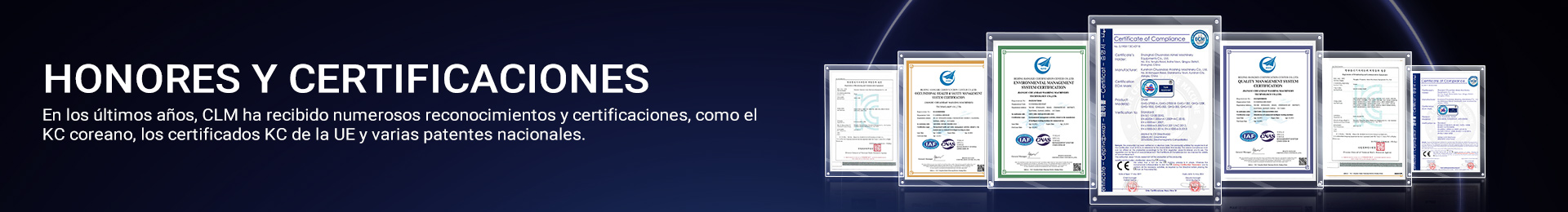 Transportador Para Clasificación De Bolsas