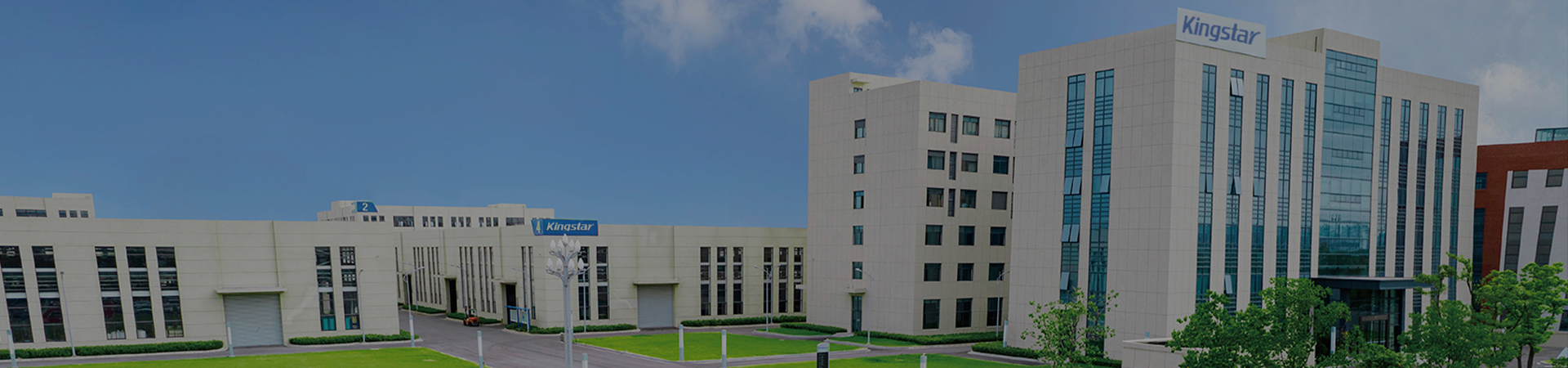 company_bgplj