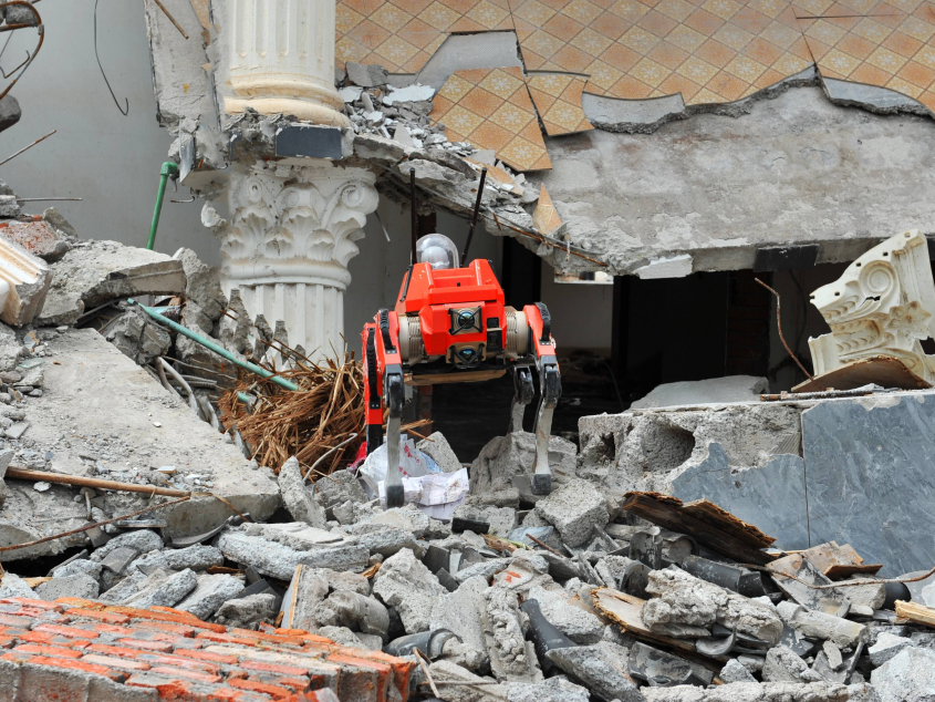 Rescue Robot Dogs Rise as ‘Guardians of Life’ Amid Global Disaster Surge