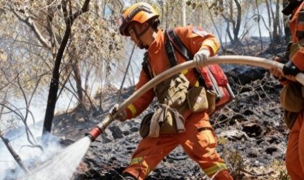 Forest Firefighting