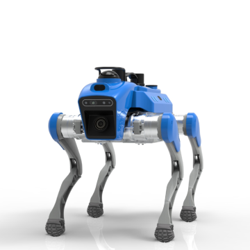 Intelligent Inspection  Quadruped Robot
