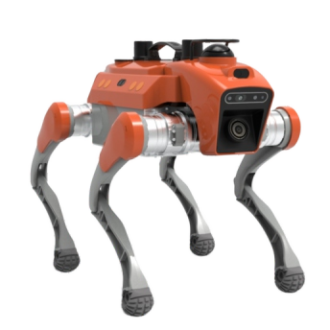 orange-x