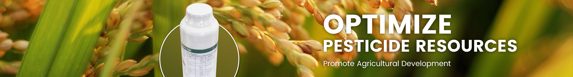 Fungicide Formulation