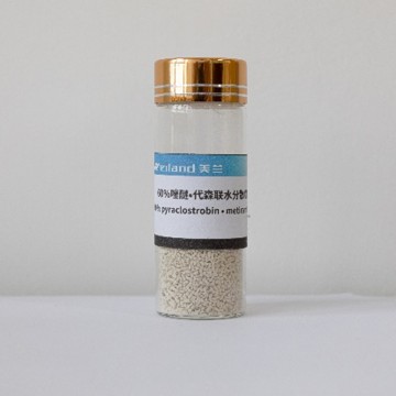 5% 피라클로스트로빈+55% 메티람 WDG