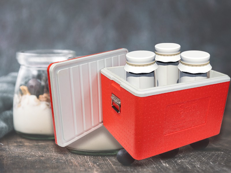 EPP Insulated Containers: Applications and Advantages Across Various Industries