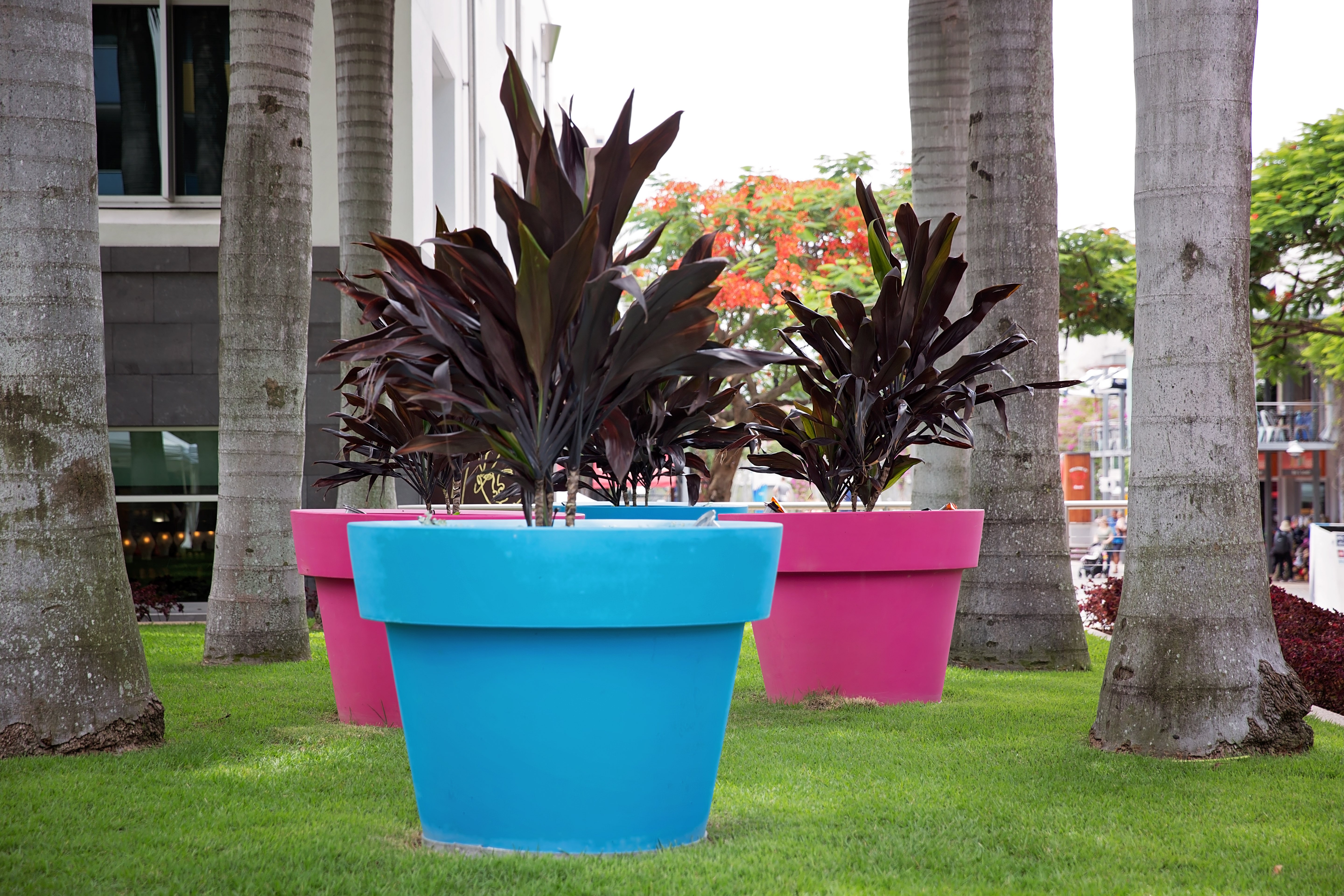Grow, Play, Protect: How EPP & EPS Molds Are Revolutionizing Gardening & Outdoor Products