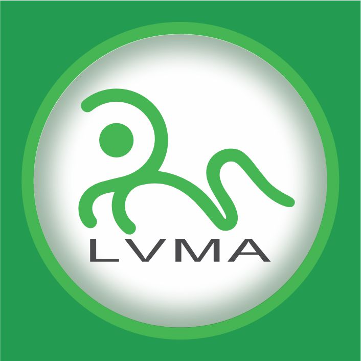 What are the key points for the daily maintenance of an automatic transfer switch?