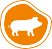 tp50o5