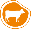 tp26o5