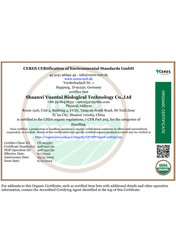 Certification11