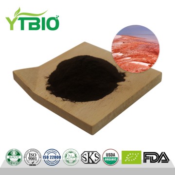 Dunaliella Salina Extract 2% Beta Carotene Powder