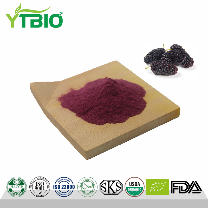 Manufacturer Natural Mulberry Powder