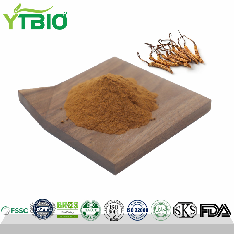 Factory Wholesale Natural Cordyceps Powder
