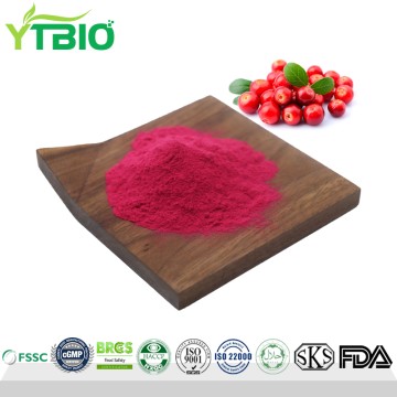 Manufacturer Supply Cranberry Extract Powder