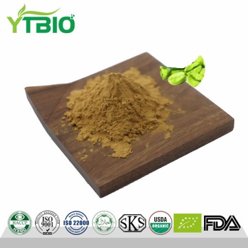 Green Coffee Bean Extract Chlorogenic Acid