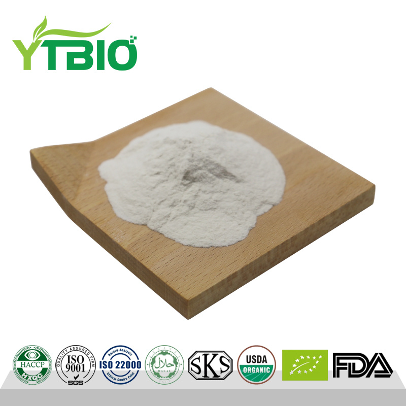 Factory supply CAS 9072-19-9 Fucoidan Powder