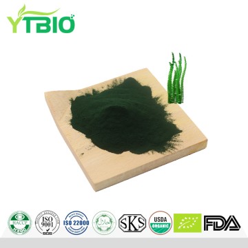 Spirulina Powder Spirulina Extract Factory