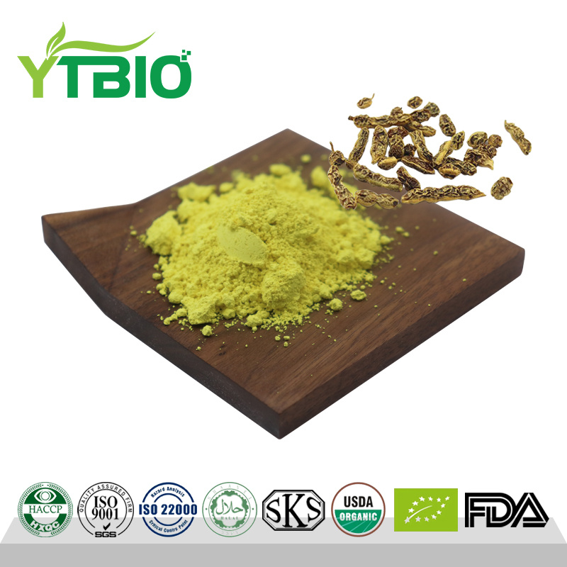 Sophora Japonica Extract Kaempferol 98% Powder