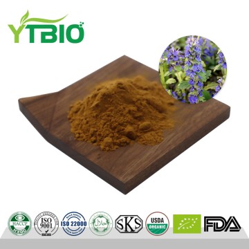Natural Ajuga Turkestanica Extract Turkesterone Powder