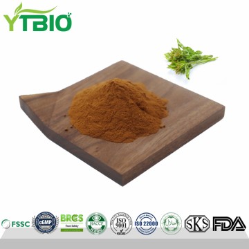 Natural Acanthopanax Extract Powder