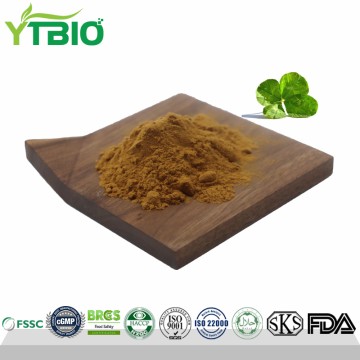 Wholesale Centella Asiatica Extract Powder