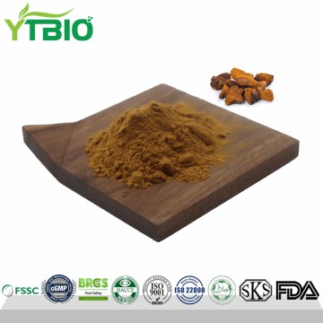 Bulk Chaga Mushroom Extract Powder