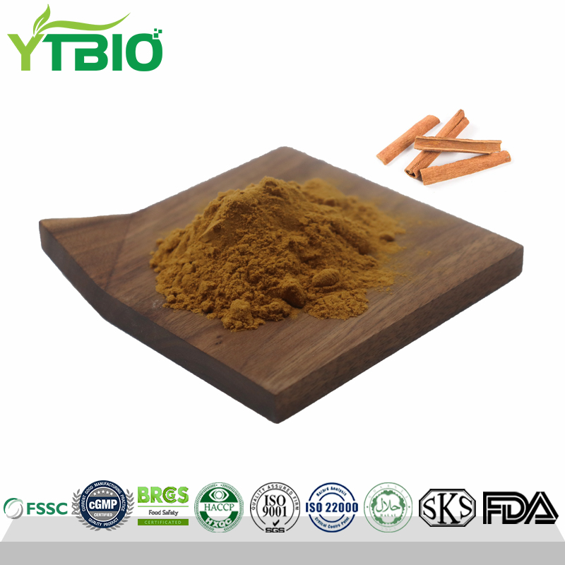 Pure Cinnamon Bark Extract Powder
