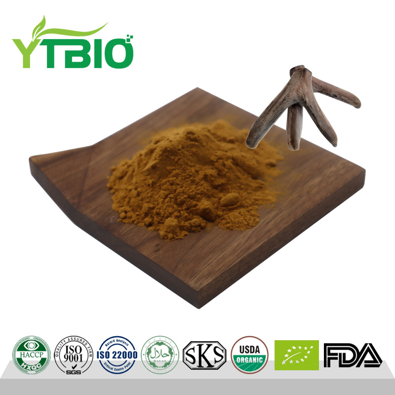 Factory Wholesale Deer antler Extract Powder