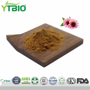 Bulk Natural Echinacea Extract Powder
