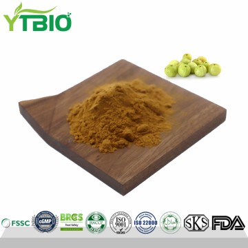 Natural Emblica Officinalis Extract Powder