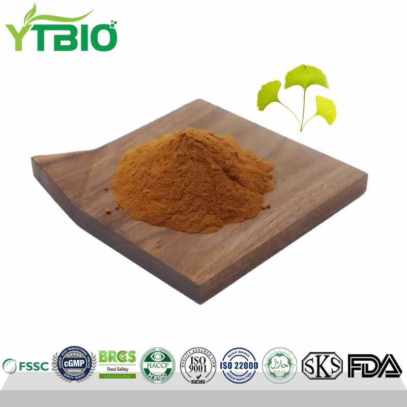 Pure Natural Ginkgo Leaf Extract Powder