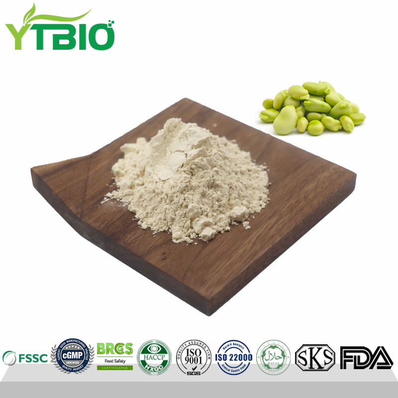 Natural Organic Fava Bean Protein Powder