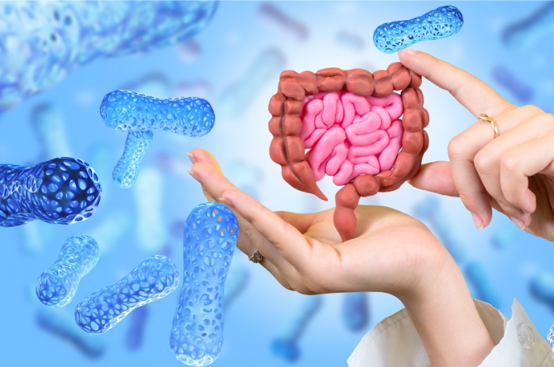 Wat doen probiotica?