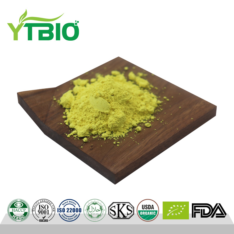 CAS 117-39-5 Quercetin 95% Powder