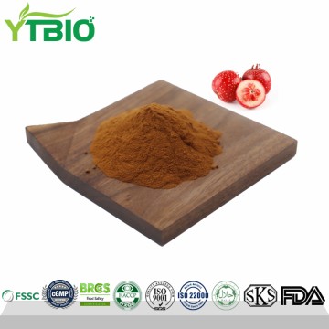 Natural Hawthorn Berry Extract Powder