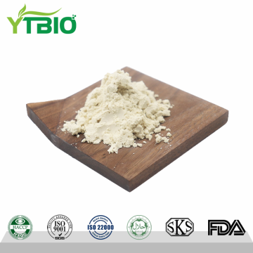 Factory Supply 20% Gingerol Powder