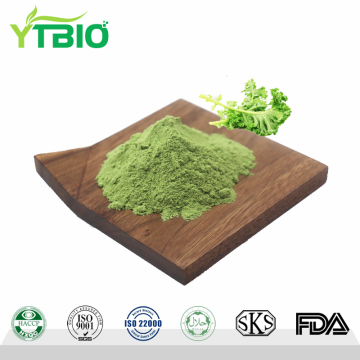Wholesale Natural Kale Leaf Extract Kale Powder