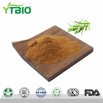 Rosmarinic Acid Powder CAS 20283-92-5