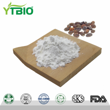 Wholesale Saw Palmetto Extract Powder