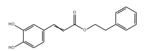 screenshot-2025-08-18-170339