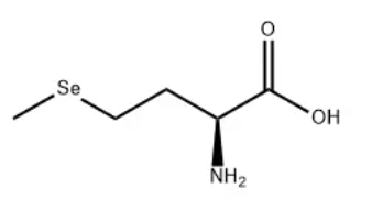 screenshot-2025-08-19-173742