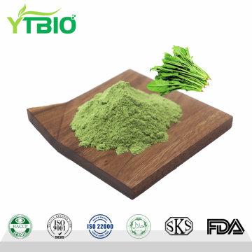 Factory Wholesale Spinach Freeze-dried/Spray-dried Powder