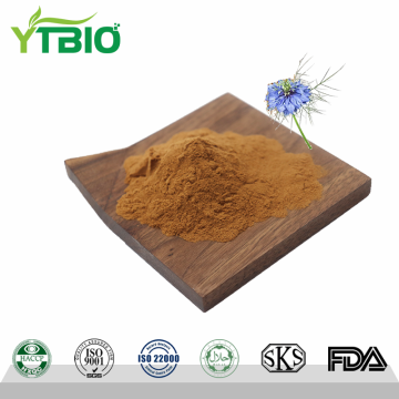 Black Cumin Seed Extract Thymoquinone Powder