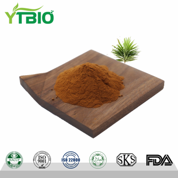 Factory Supply Yucca Saponins Powder