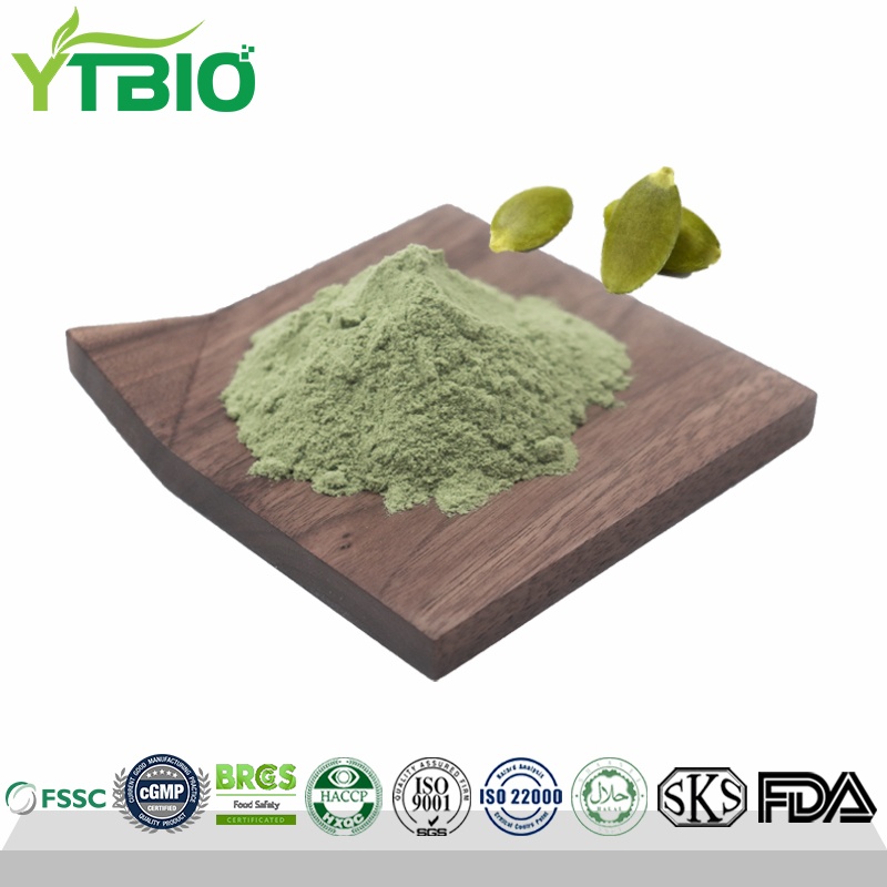 Factory Supply Organic Pumpkin Seed Protein