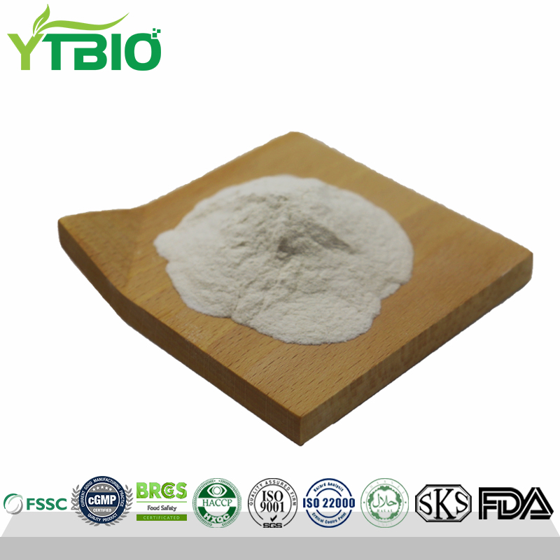 Factory Supply CAS 308084-36-8 Lactobacillus Acidophilus