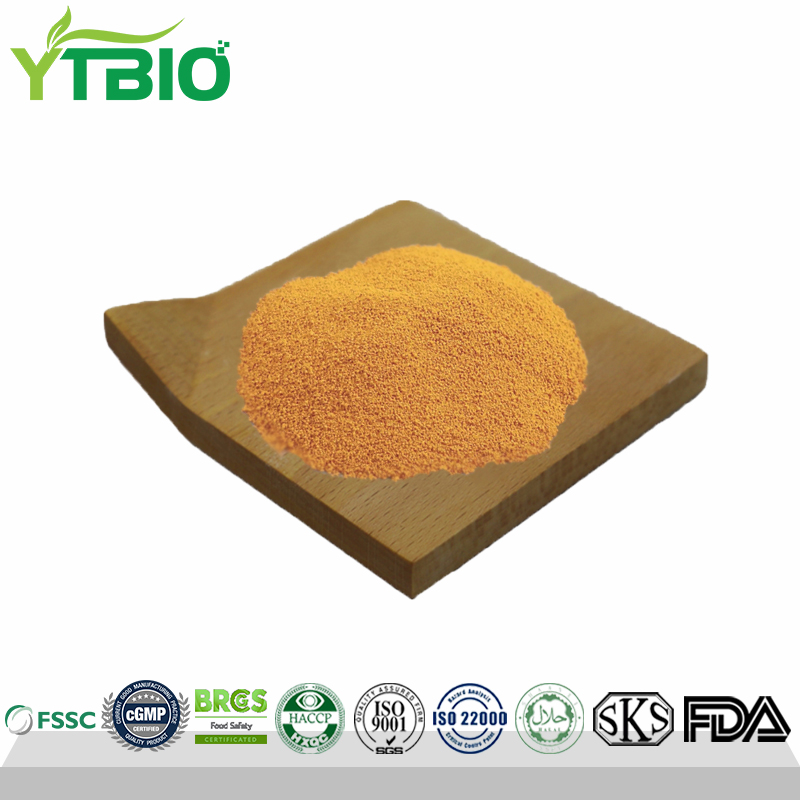 CAS 83-88-5 Vitamin B2/Riboflavin Powder
